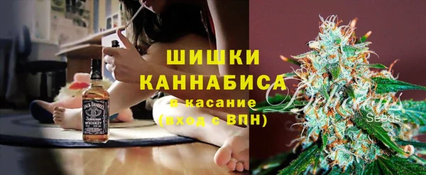 амф Касимов