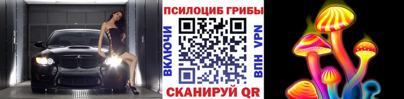Псилоцибиновые грибы Psilocybine cubensis  Реутов 